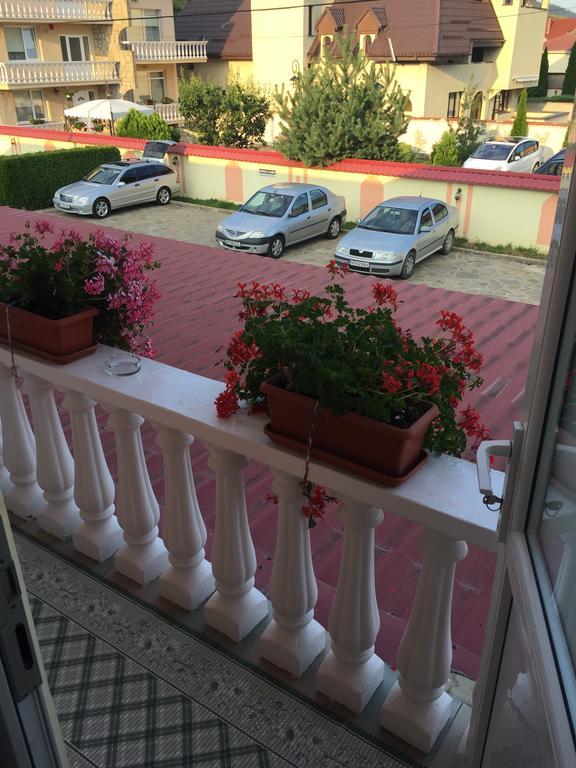Pensiunea Flora Пьятра-Нямц Экстерьер фото